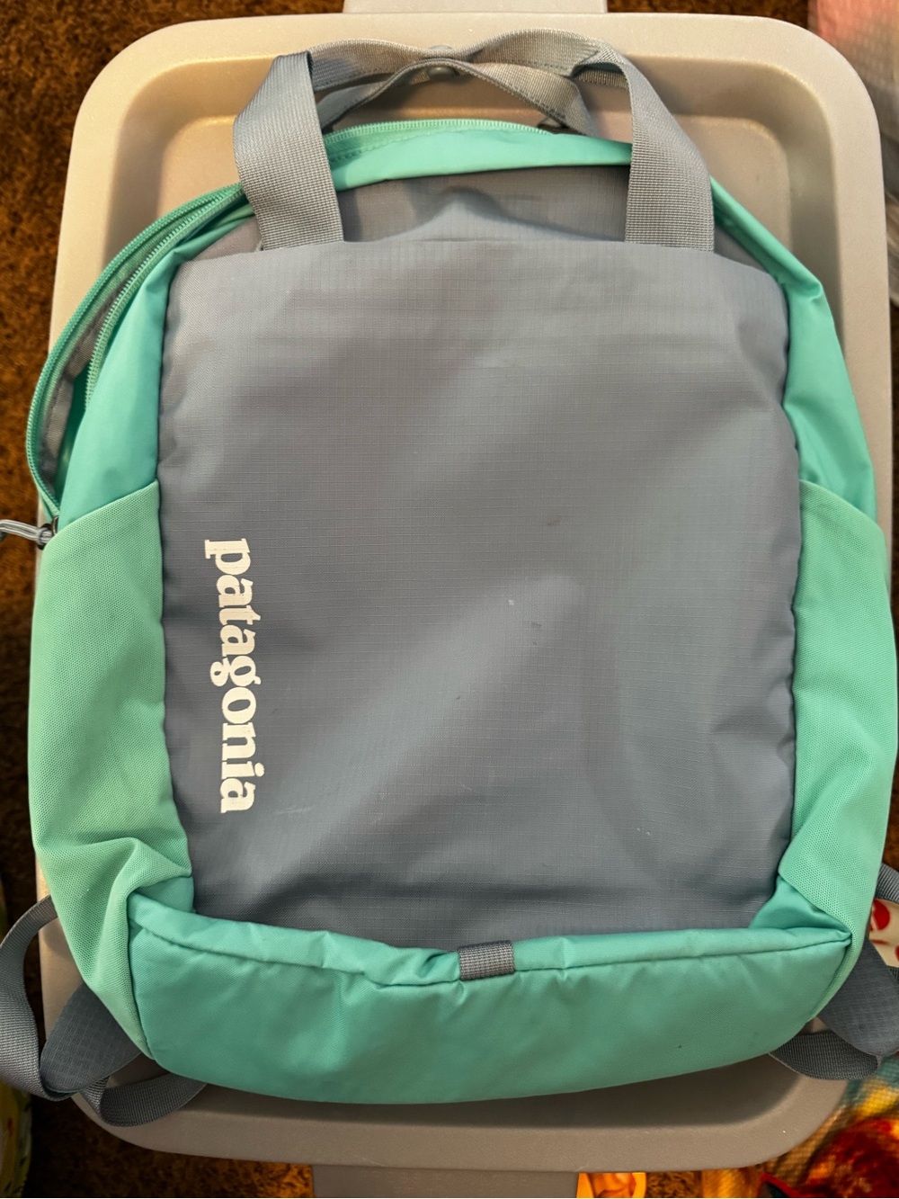 Patagonia Gray and Mint Green Everyday Backpack